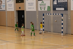 _MG_2754-Avec accentuation-Bruit.jpg